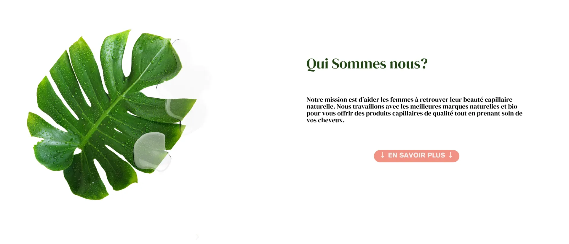 CiMarket - Collections Banners - Banner 1