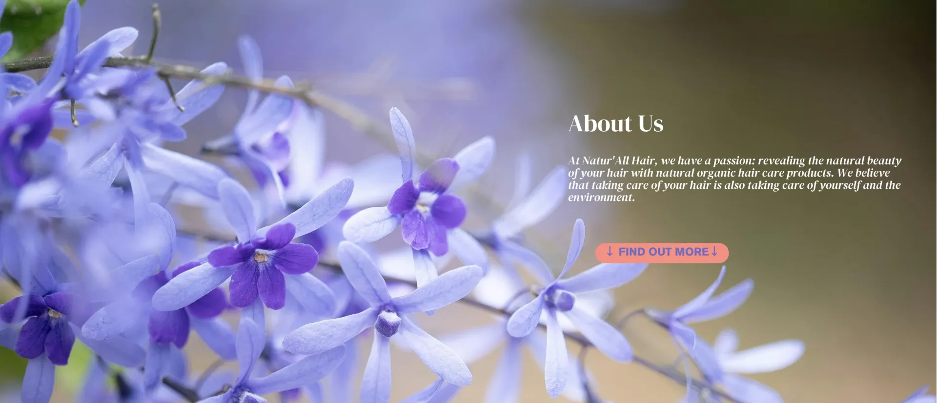 CiMarket - Collections Banners - Banner 1