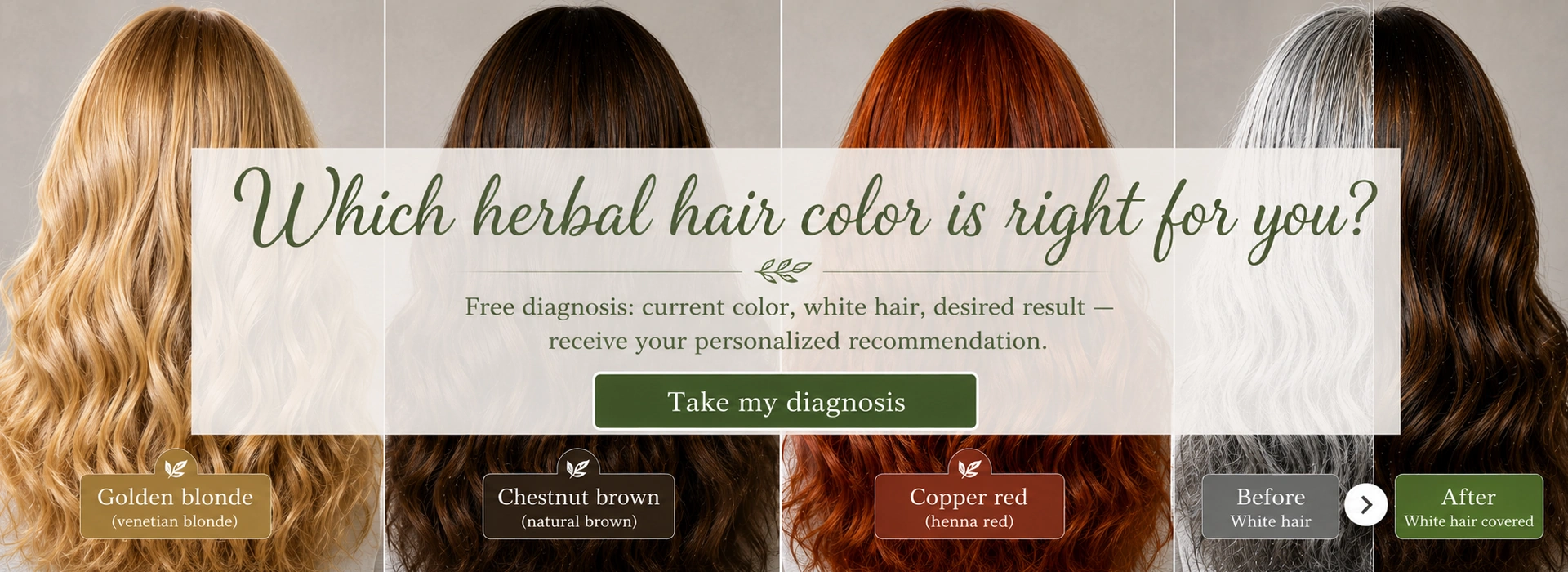 Home – Herbal Hair Color Diagnosis
