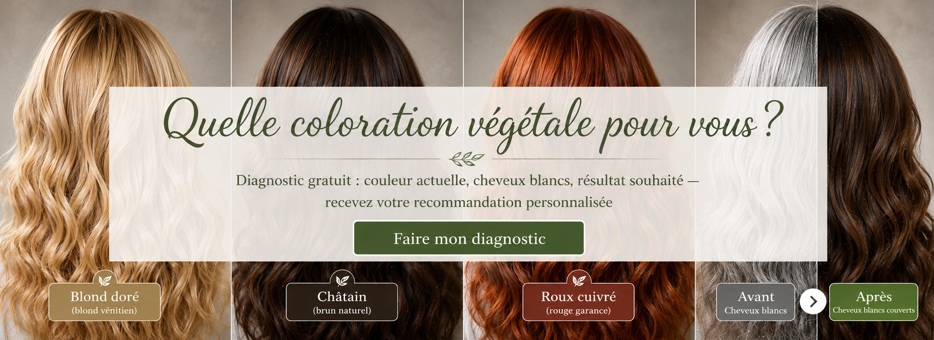 Accueil – Diagnostic coloration végétale