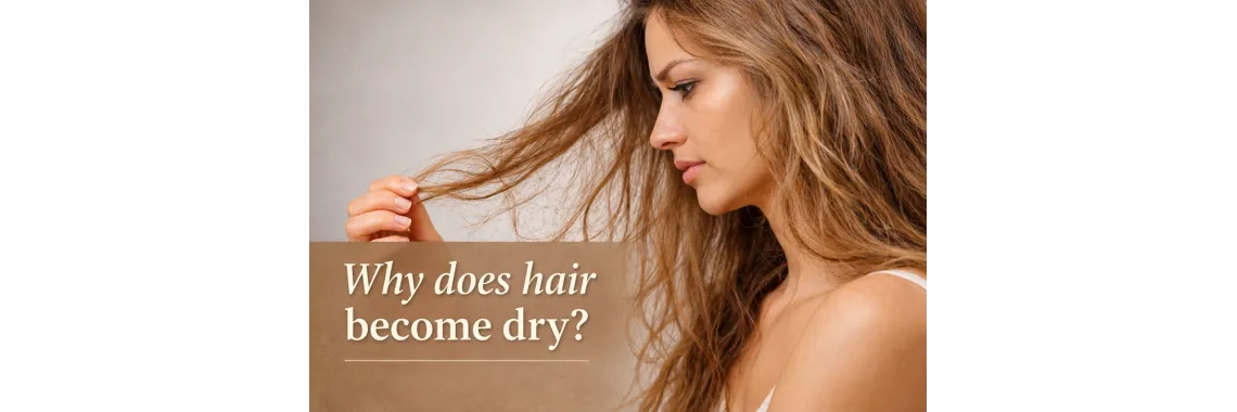 Dry Hair: A Natural Hair Care Routine for Hydration & Nourishment