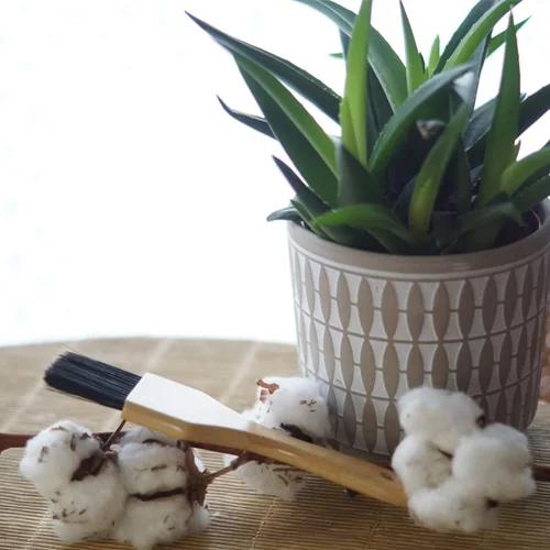 Pinceau coloration végétale large