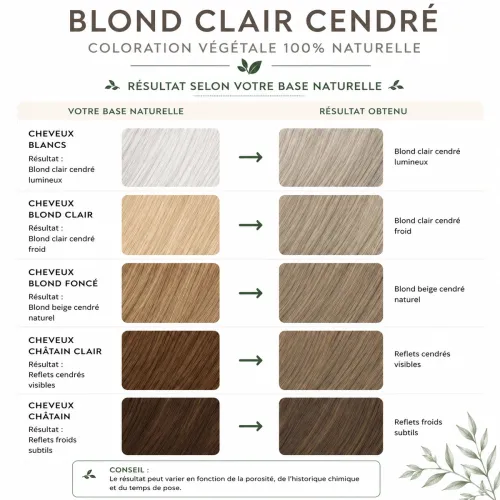 Light Ash Blonde Herbal Hair Color – Phitofilos Light Ash Blonde Herbal Hair Color – Phitofilos thumbnail 3