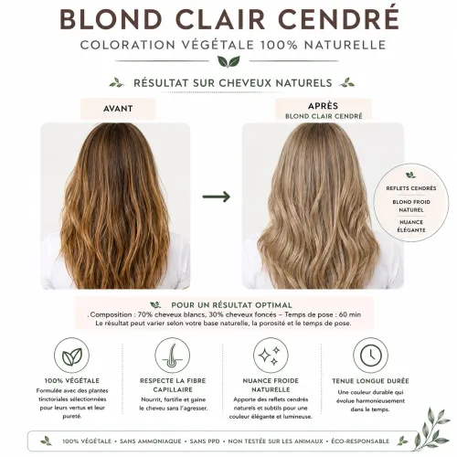 Light Ash Blonde Herbal Hair Color – Phitofilos Light Ash Blonde Herbal Hair Color – Phitofilos thumbnail 4