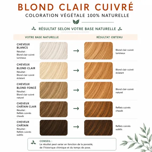 Coloration Végétale Blond Clair Cuivré – Phitofilos thumbnail 3