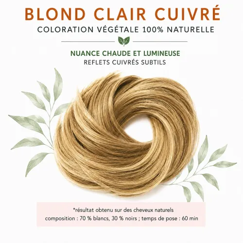 Coloration Végétale Blond Clair Cuivré – Phitofilos thumbnail 2
