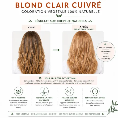 Coloration Végétale Blond Clair Cuivré – Phitofilos thumbnail 4