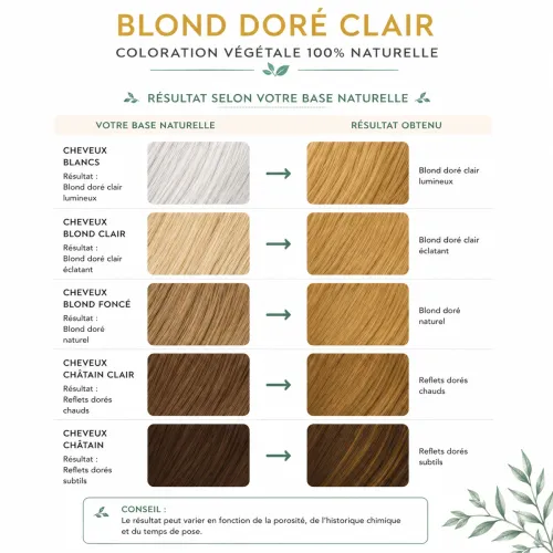 Golden Light Blonde Herbal Hair Color – Phitofilos thumbnail 3