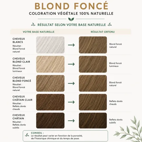 Coloration Végétale Blond Foncé – Phitofilos thumbnail 3
