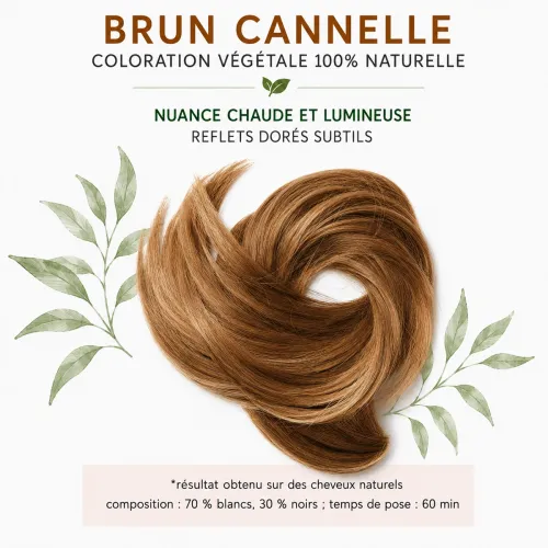 Coloration Végétale Brun Cannelle – Phitofilos thumbnail 2