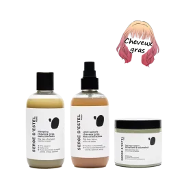 Routine "Cheveux Gras Détox & Équilibre" – Selection Natur'All Hair