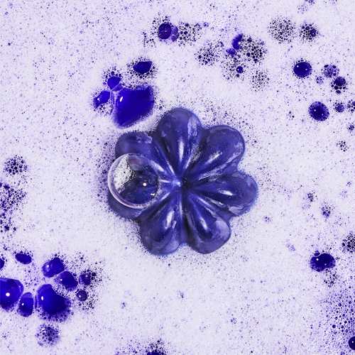 Shampooing solide Violet